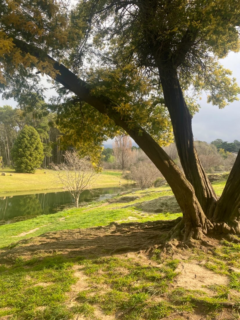 PAISAJE Sierra de la Ventana - Arroyo