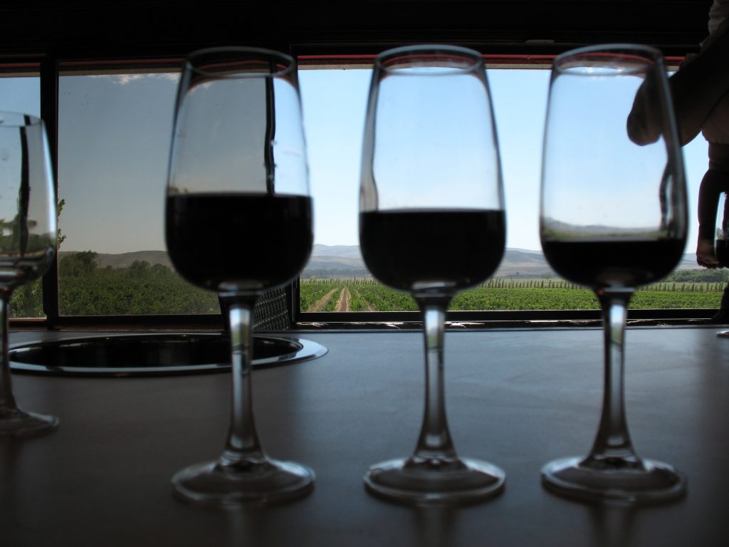 Bodega Saldungaray 3 1024x768 1 - Viví Sierra de la Ventana